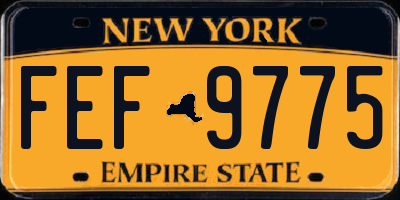 NY license plate FEF9775