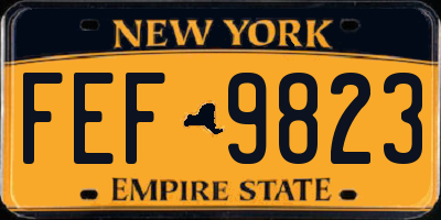 NY license plate FEF9823