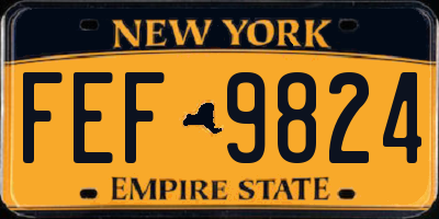 NY license plate FEF9824