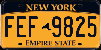NY license plate FEF9825