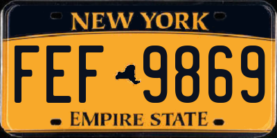 NY license plate FEF9869