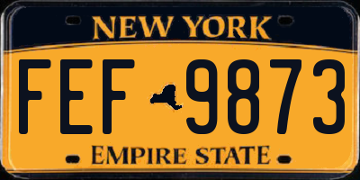 NY license plate FEF9873