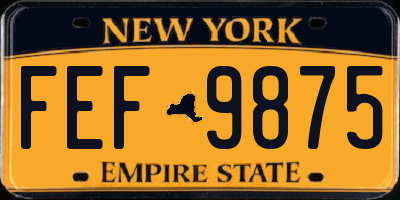 NY license plate FEF9875