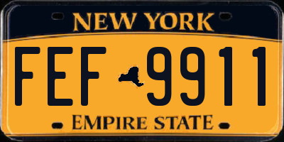 NY license plate FEF9911