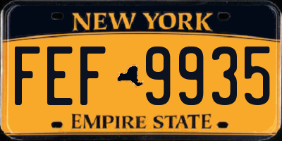 NY license plate FEF9935