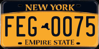 NY license plate FEG0075