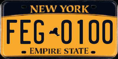 NY license plate FEG0100
