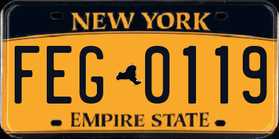 NY license plate FEG0119