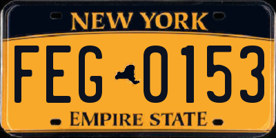 NY license plate FEG0153