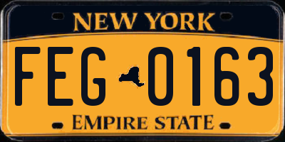 NY license plate FEG0163