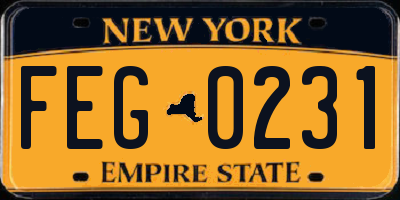 NY license plate FEG0231