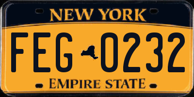 NY license plate FEG0232