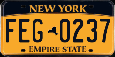 NY license plate FEG0237