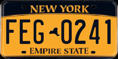 NY license plate FEG0241