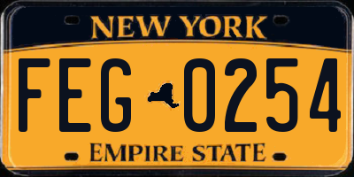 NY license plate FEG0254