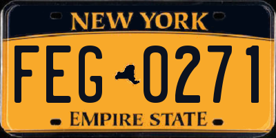 NY license plate FEG0271