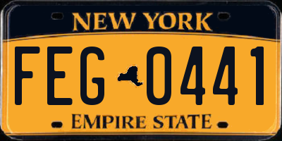 NY license plate FEG0441