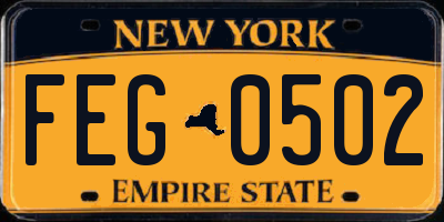 NY license plate FEG0502