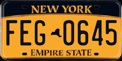 NY license plate FEG0645