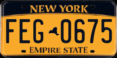 NY license plate FEG0675
