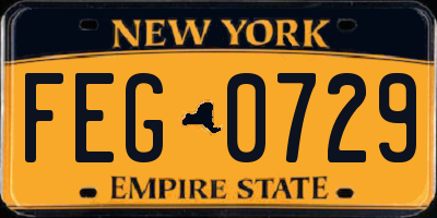 NY license plate FEG0729