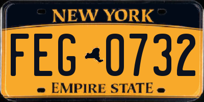 NY license plate FEG0732
