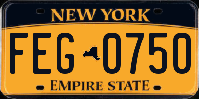 NY license plate FEG0750
