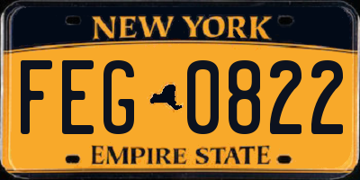 NY license plate FEG0822