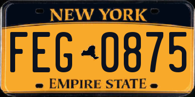 NY license plate FEG0875