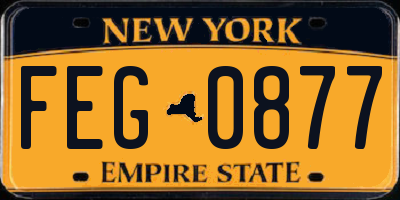 NY license plate FEG0877