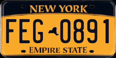 NY license plate FEG0891