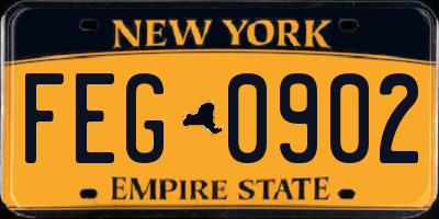 NY license plate FEG0902