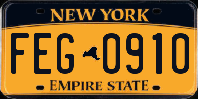 NY license plate FEG0910