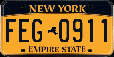 NY license plate FEG0911