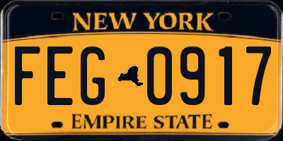 NY license plate FEG0917