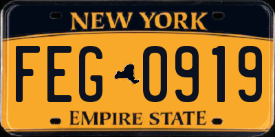 NY license plate FEG0919