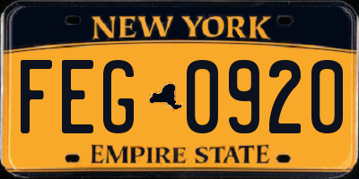 NY license plate FEG0920