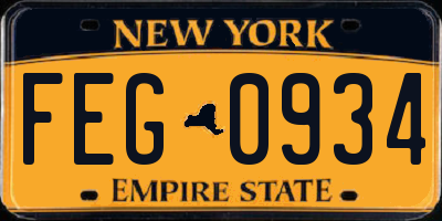 NY license plate FEG0934