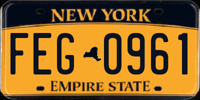 NY license plate FEG0961