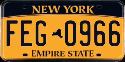 NY license plate FEG0966