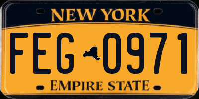 NY license plate FEG0971