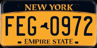 NY license plate FEG0972