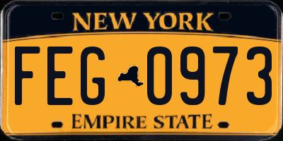 NY license plate FEG0973