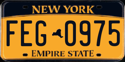 NY license plate FEG0975