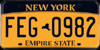 NY license plate FEG0982