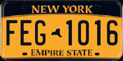 NY license plate FEG1016