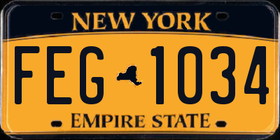NY license plate FEG1034