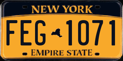 NY license plate FEG1071