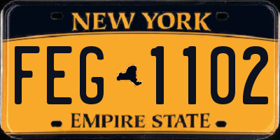 NY license plate FEG1102