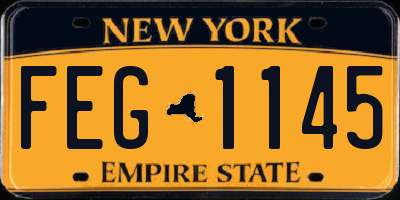 NY license plate FEG1145